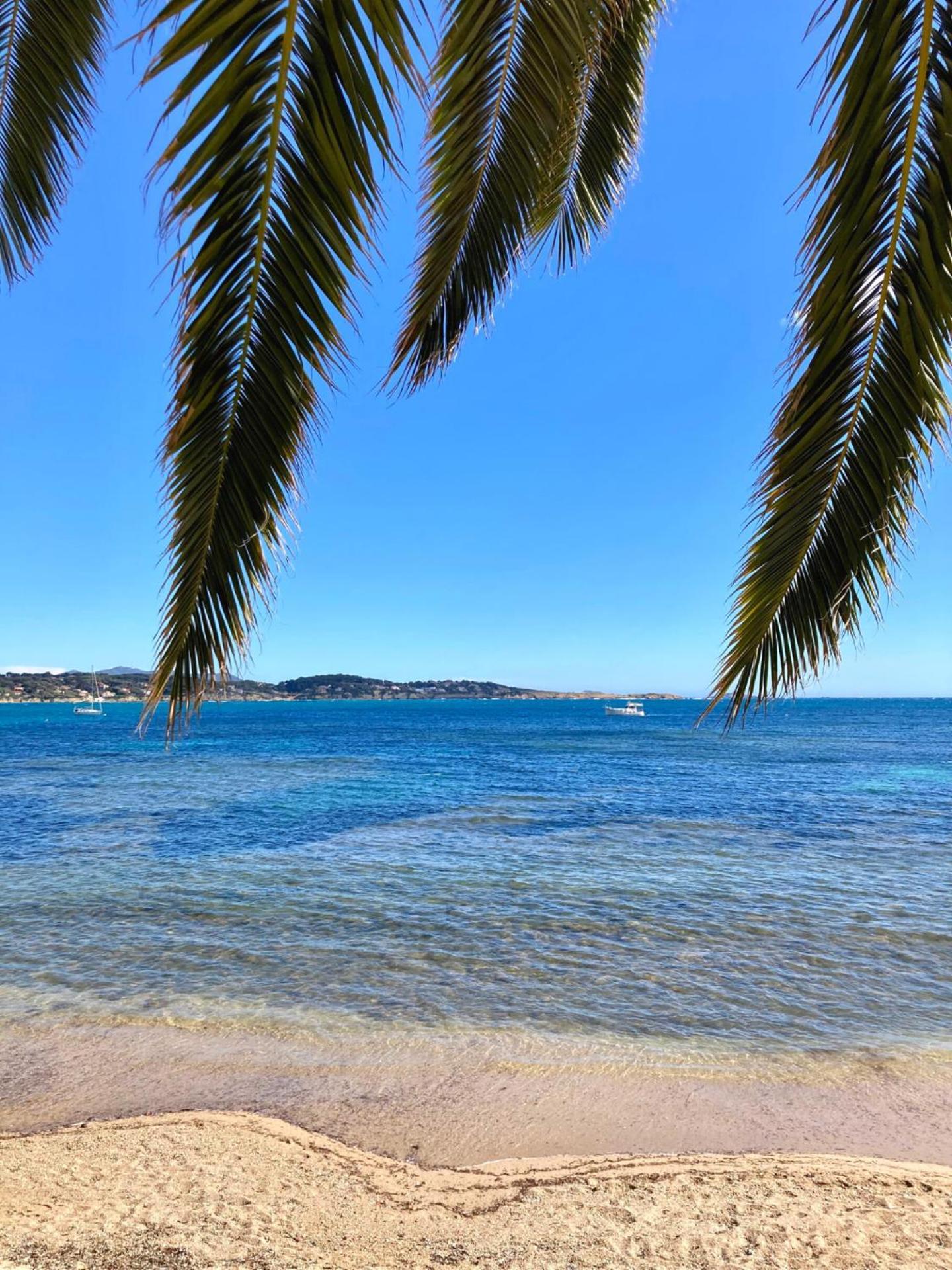 Appartement Coup De Coeur Centre Village Et Plage Climatise 3 Etoiles Terra Cigala 邦多勒 外观 照片